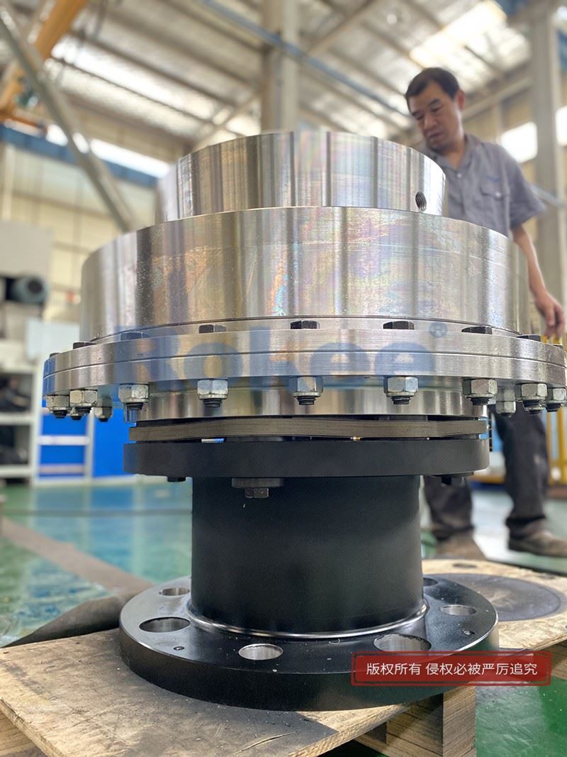 Custom-made Large Diaphragm Coupling