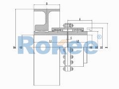 RODU Crown Gear Couplings,RODU Brake Wheel Drum Gear Coupling