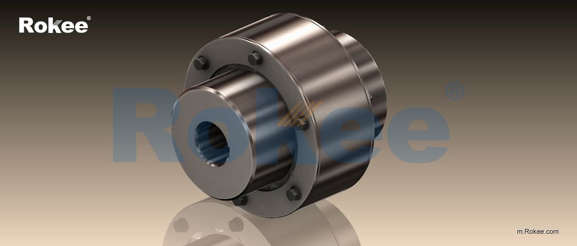 LZ/ZL Pin Gear Coupling